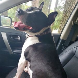 Meet your Posher, Shanteen